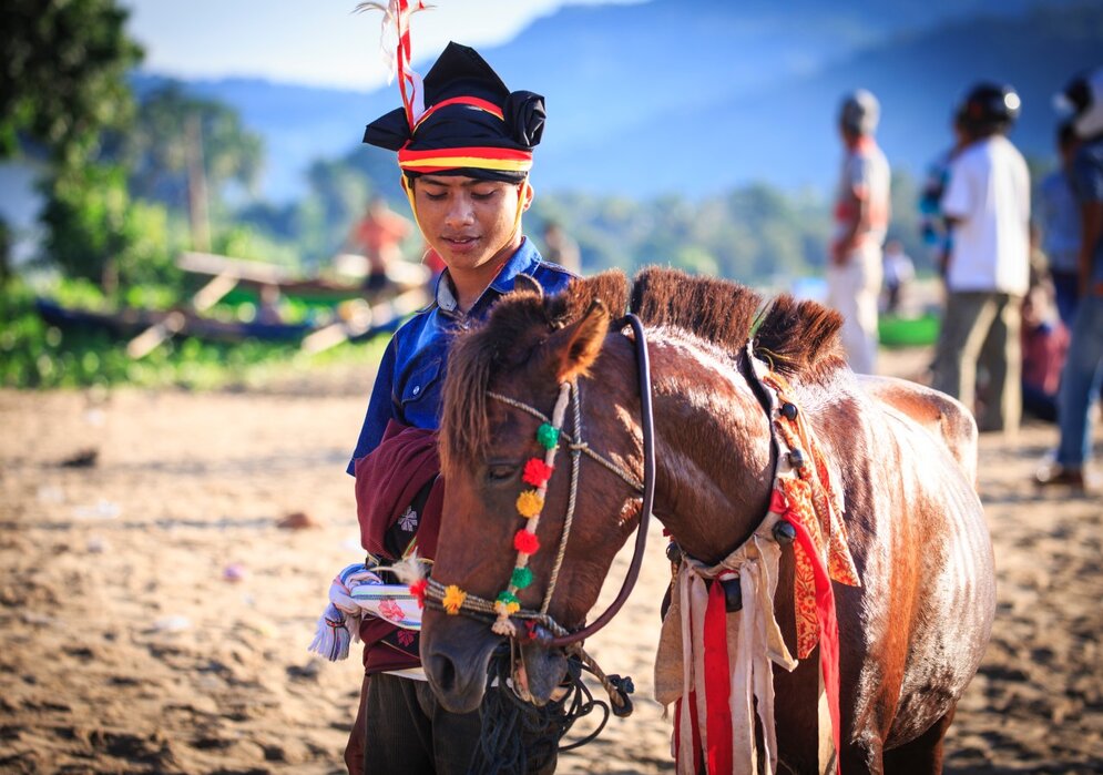 Sumba man with decorated horse