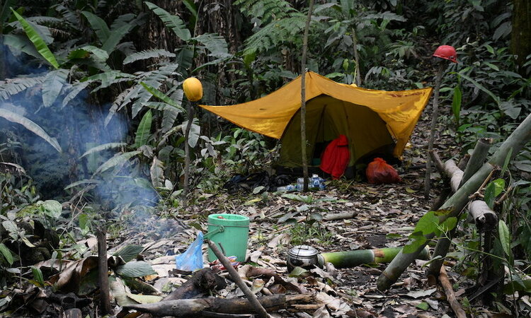 Moluccas, Halmahera: Jungle tent camp with camp fire