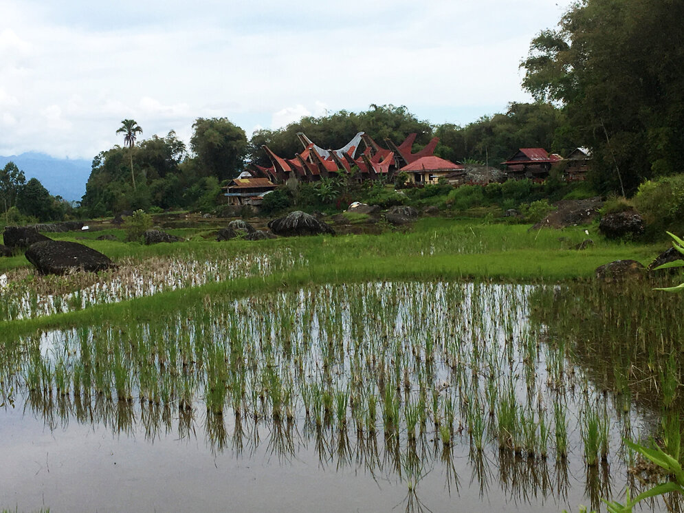 Dorf im Torajaland Sulawesi