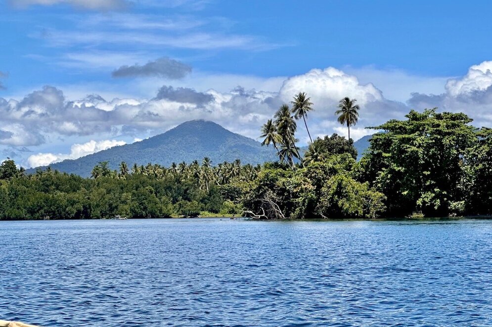 Halmahera - Molukken: Landschaftspanorama Berg mit Meer und Palmen