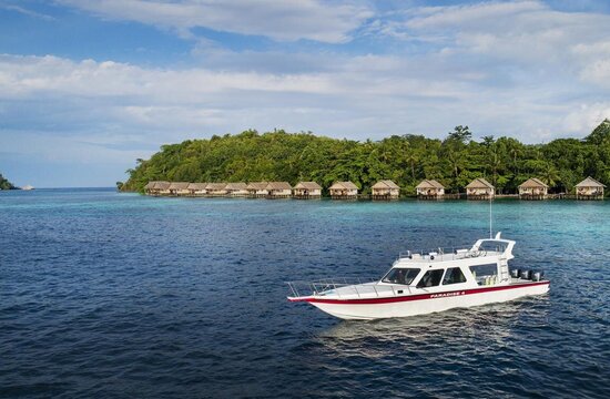 Dive boat in front of Papua Paradise Eco Resort, Raja Ampat