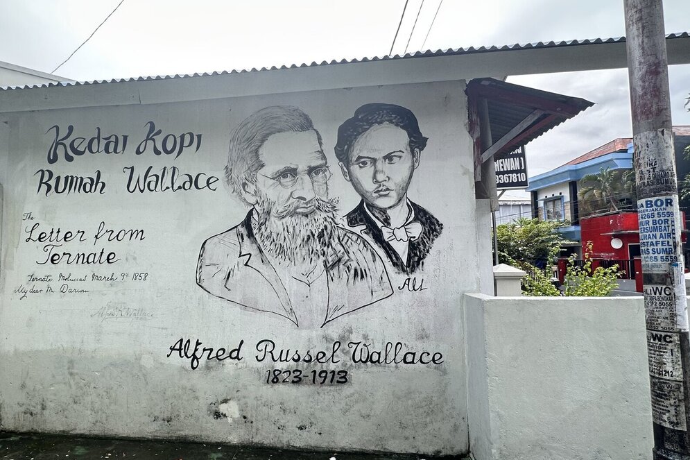 Indonesien, Gewürzinsel Ternate: Alfred Russel Wallace Mural