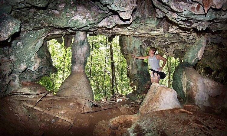 Bat cave in the area of the Selayar Dive Resort, Sulawesi/Indonesia