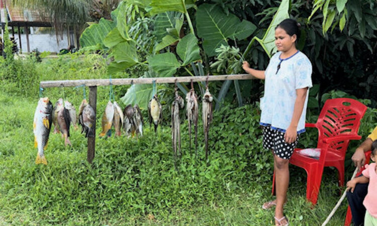 Moluccas, Halmahera: Woman sells fish at the road side