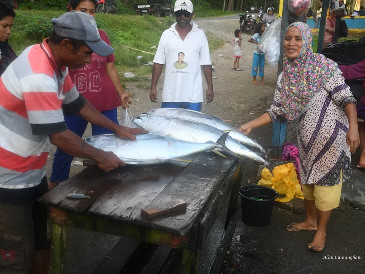 Moluccas Morotai: Local fish market