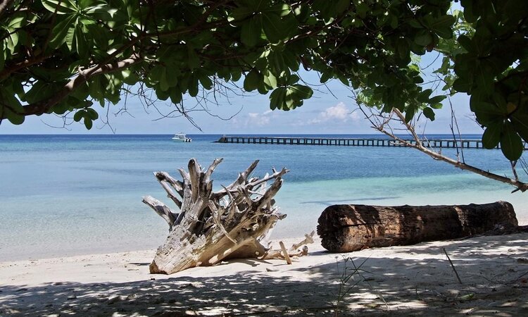 Selayar Dive Resort, South Sulawesi: White sand beach with jetty views