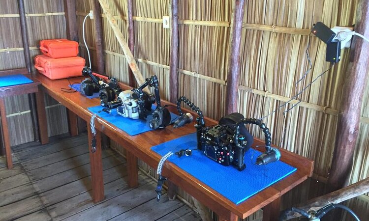 Papua Explorers Dive Resort: Kameraraum
