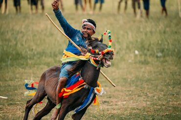 Indonesia, Little Sunda Island Sumba: Rider on decorated horse at Pasola tradition