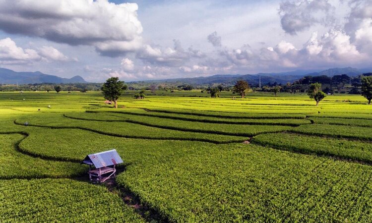 Sumbawa Island, Indonesia: Typical landscape when crossing the island along the main route