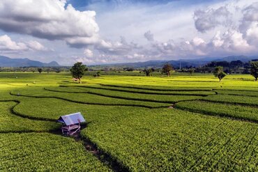 Sumbawa Island, Indonesia: Typical landscape when crossing the island along the main route