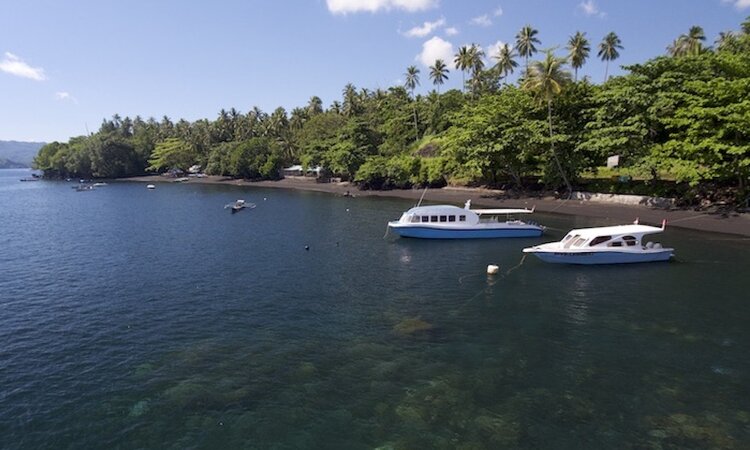  Dive into Lembeh Resort: Diving boats ready to go