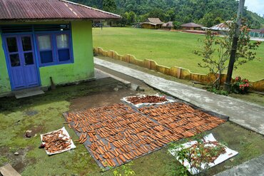 Moluccas - Spice Islands: Tidore cinammon