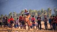 Pasola Festival Insel Sumba: Reiter vor Zuschauermenge