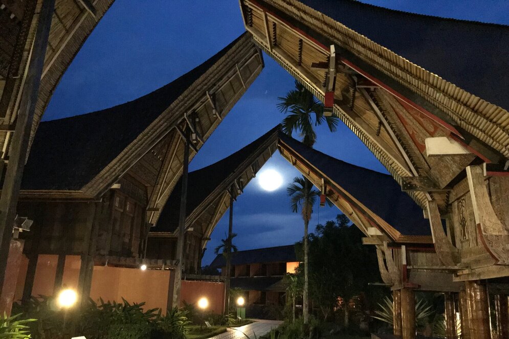 Sulawesi: Traditional Toraja house