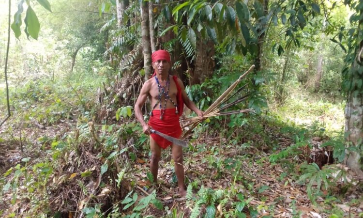 Moluccas, Seram island: Member of Alifuru tribe in jungle
