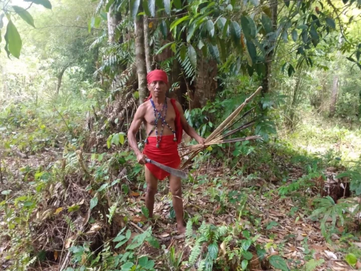Moluccas, Seram island: Member of Alifuru tribe in jungle
