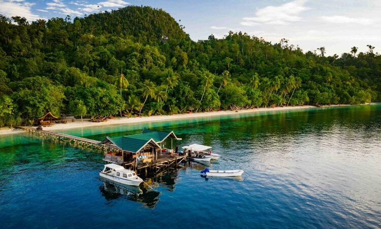 Indonesien, Raja Ampat Biodiversity Nature Resort: Jetty, beach & palm trees