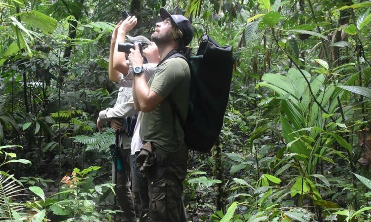 EAST OF WALLACE TOURS: Birding in action