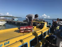 Mann entlädt roten Koffer von gelbem Boot auf den Molukken