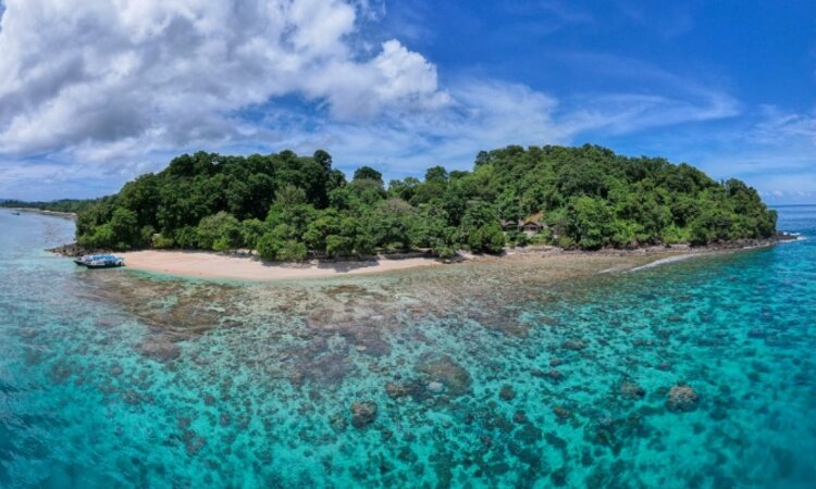 Bangka Island, Murex Resort: House Reef and Palm Beach
