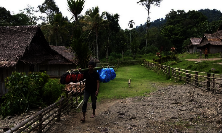 Traditional village on Seram island, Moluccas, Indonesia