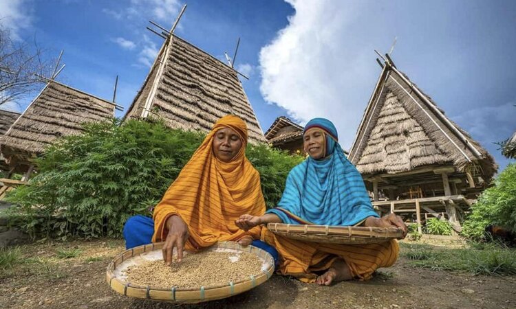 Indonesia, Lesser Sunda Islands: Women in traditional dress