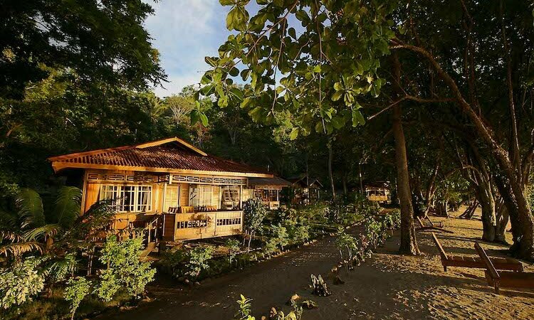 Sulawesi: Pulisan Jungle Beach Resort - Außenansicht