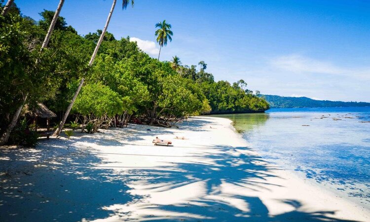  Raja Ampat Biodiversity Nature Resort: White sandy Beach with Sunbeds