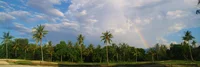 Ost-Indonesien, Region East of Wallace: Regenbogen über Palmenhain