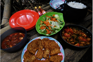 Sulawesi, Gunung Tatawiran Tour: Jungle dinner