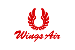 Logo Wings Air