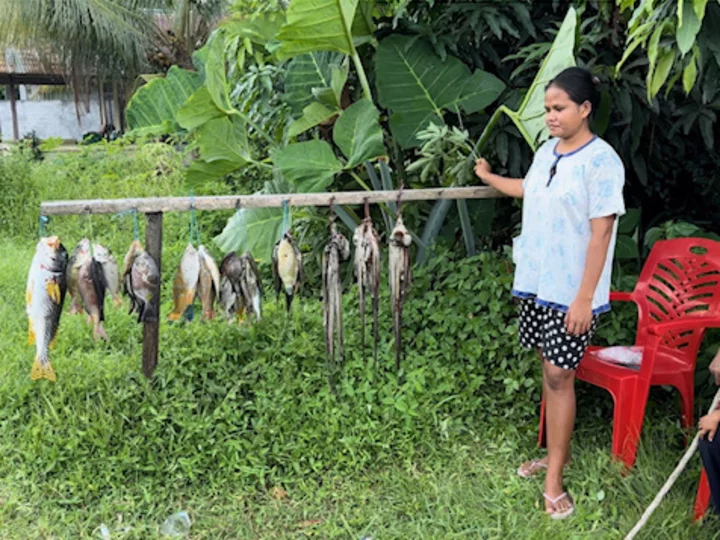 Moluccas, Halmahera: Woman sells fish at the road side