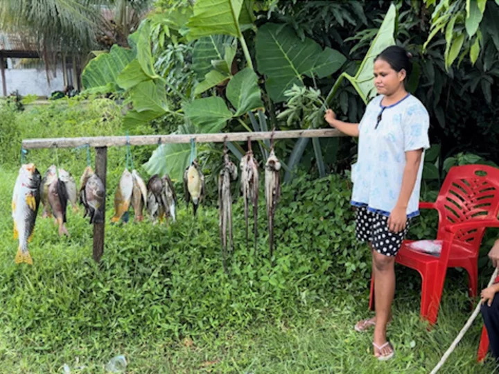 Molukken, Halmahera: Frau verkauft Fisch am Strassenrand