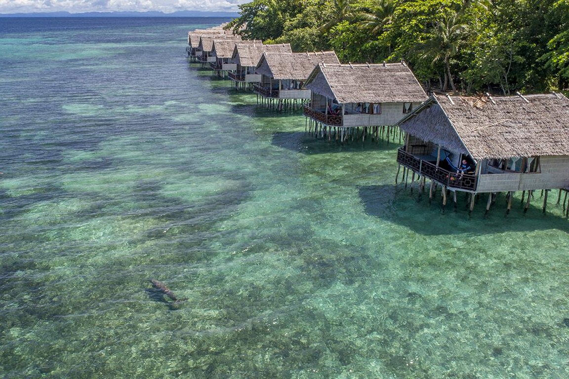 Papua Paradise Eco Resort: Dugong near Deluxe Bungalow in Raja Ampat