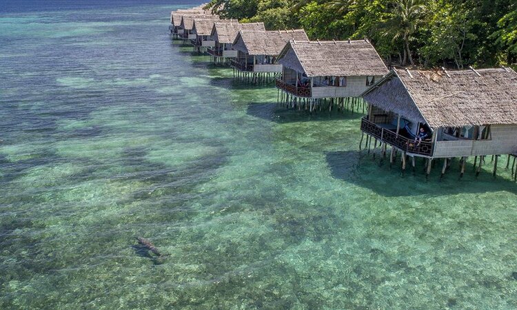 Papua Paradise Eco Resort: Dugong near Deluxe Bungalow in Raja Ampat