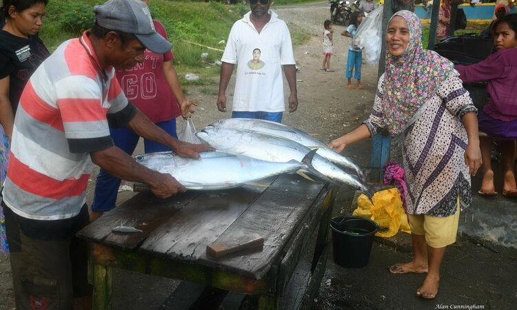 Molukken, Morotai: Lokaler Fischmarkt