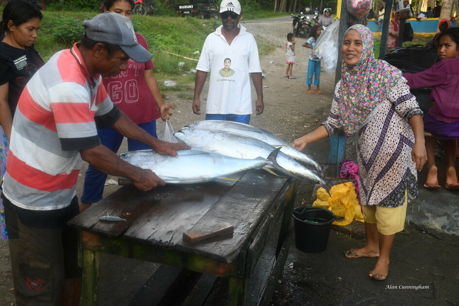 Molukken Gewürzinsel Morotai: Lokaler Fischmarkt