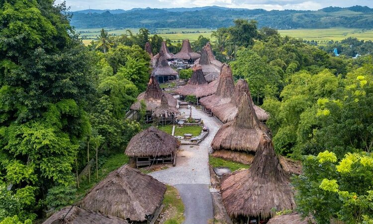 Indonesia, Little Sunda Island Sumba: Traditional village with typical high-roof houses
