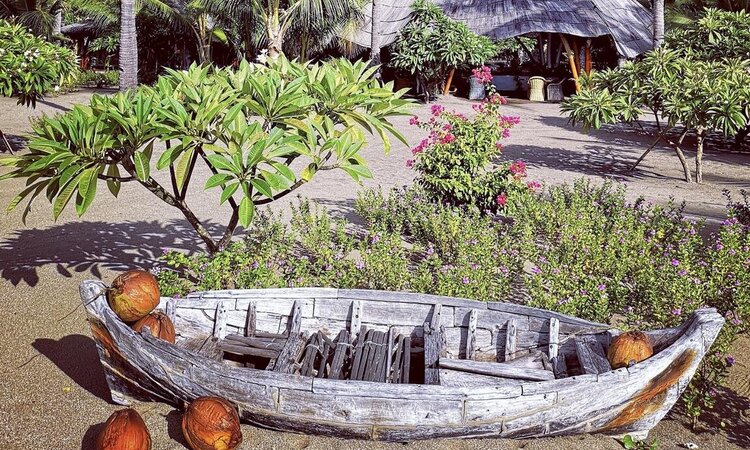 Restaurant view from the garden: Coconut Garden Beach Resort, Flores Island/Indonesia