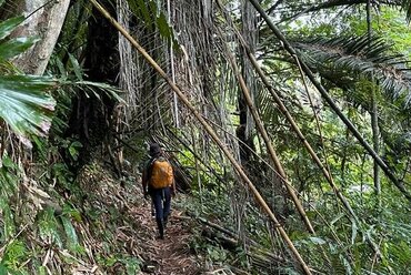 Moluccas: Jungle trekking on Halmahera island