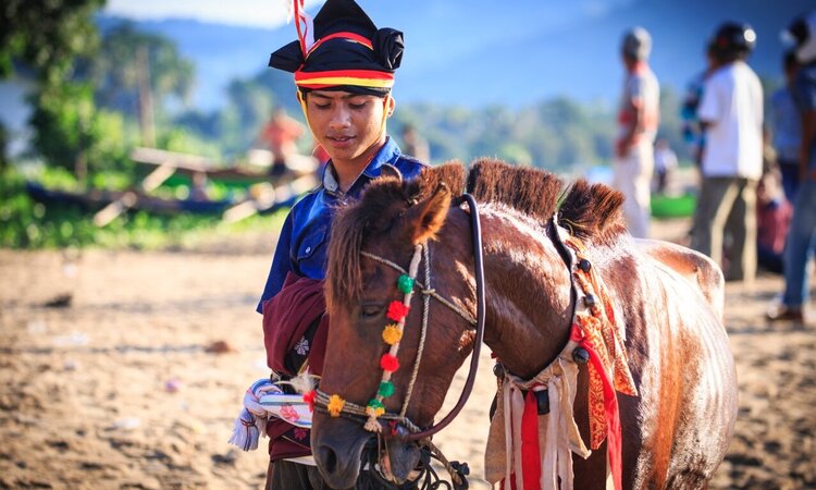 Sumba, Indonesien: Festlich gekleideter Mann mit Pferd auf Pasola Festspielen