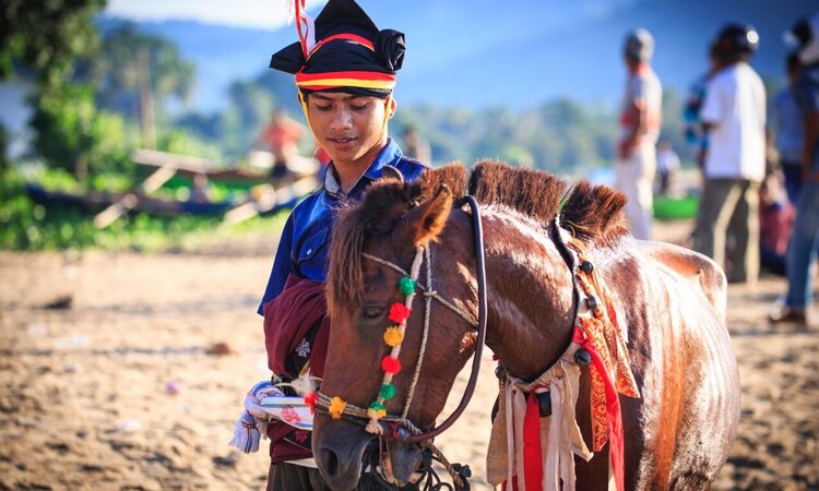 Sumba, Indonesia: Festively dressed man with horse at Pasola festival