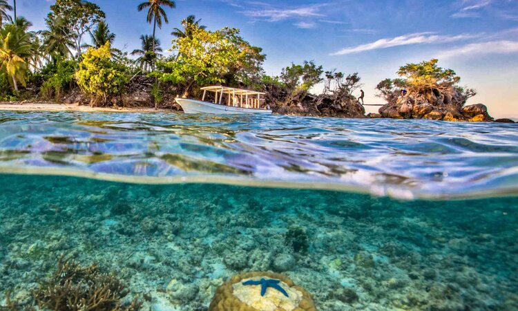 Cove Eco Resort, Raja Ampat: Unterwasserwelt Insel Yeben