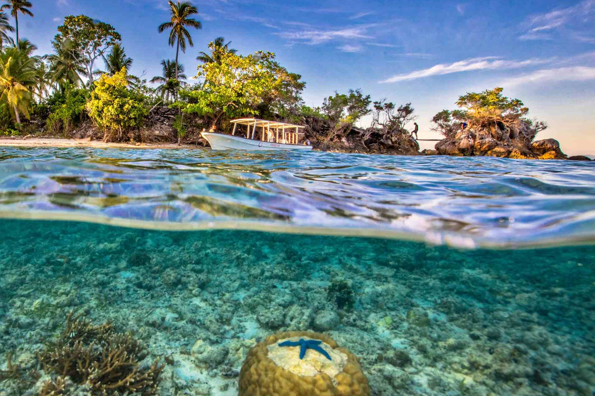 Cove Eco Resort, Raja Ampat: Unterwasserwelt Insel Yeben