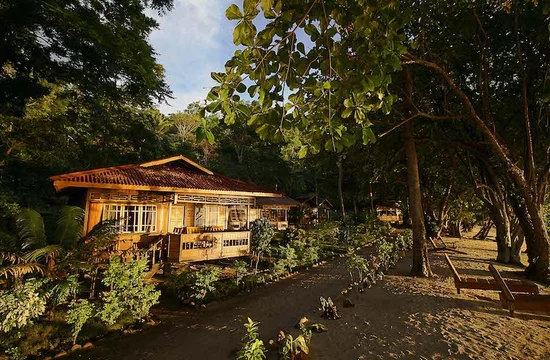 Sulawesi: Pulisan Jungle Beach Resort - Exterior View