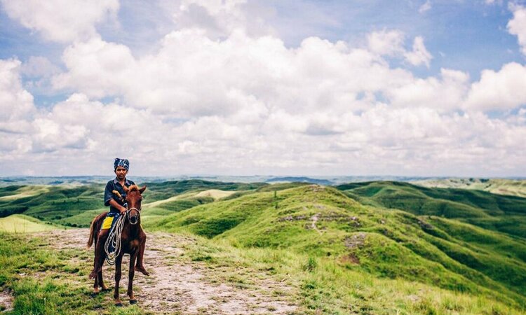 Rider on horseback in the Sumba savannah; Lesser Sunda Islands, Indonesia
