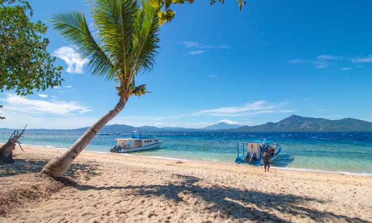 Kuda Laut Resort, Sulawesi - Siladen Island: Celebes Divers Dive Boats