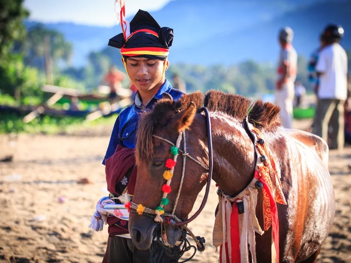 Sumba, Indonesia: Festively dressed man with horse at Pasola festival