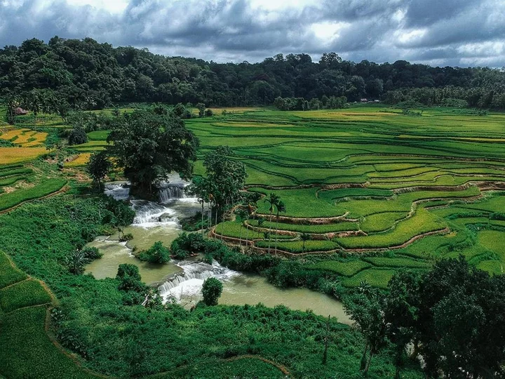 Indonesien, kleine Sundainsel Sumba: Reisfelder von Waikacura
