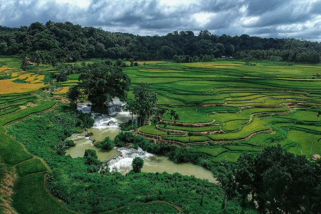 Indonesien, kleine Sundainsel Sumba: Reisfelder von Waikacura